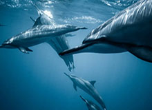 队长风范，王大雷赛前激情喊话：踢国安不拼命，可就丢人了